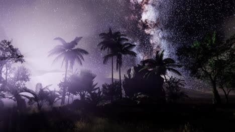 Galaxia-De-La-Vía-Láctea-Sobre-La-Selva-Tropical.